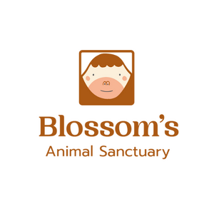 Fundraising Page: [Bloom Demo Site] Blossom's Annual 5K Race